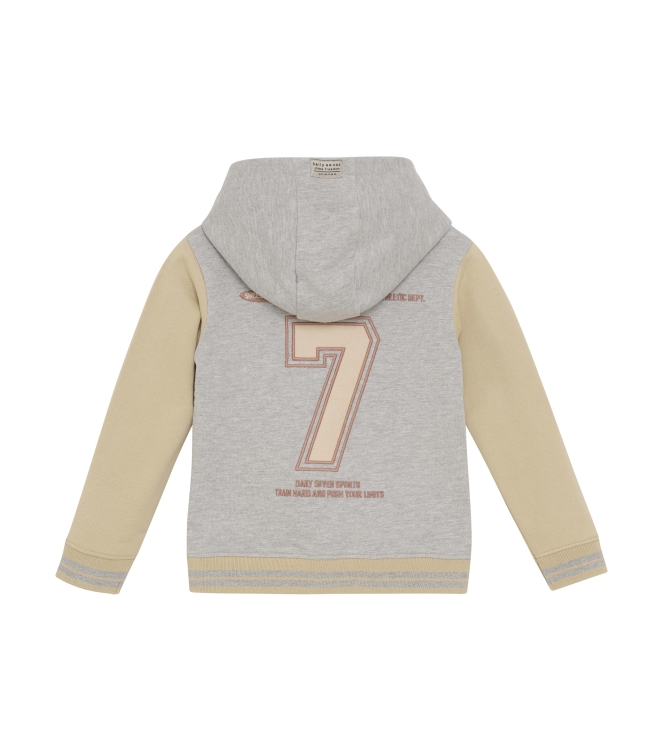 Daily7 truien & vesten 1220 Medium Grey Melange 920184