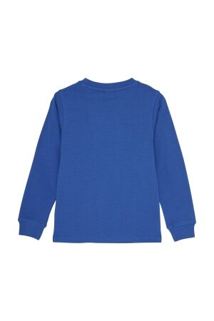 Daily7 shirts 7992 Dusty Kobalt 920191
