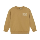 Daily7 truien 3011 Light Chestnut 920235