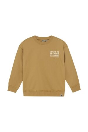 Daily7 truien & vesten 3011 Light Chestnut 920235