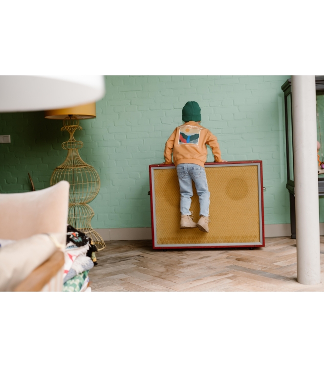 Daily7 truien & vesten 3011 Light Chestnut 920235