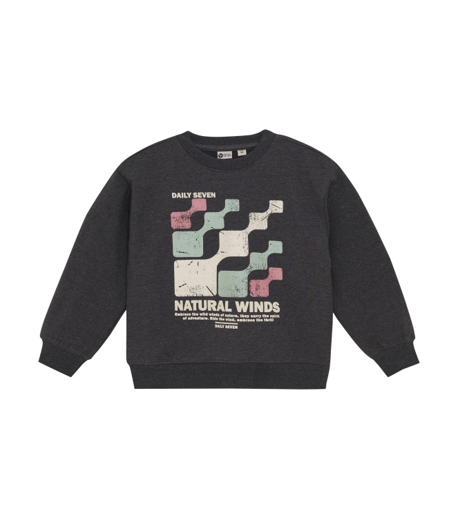 Daily7 truien & vesten 1320 Dark Grey Melange 920238