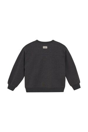 Daily7 truien & vesten 1320 Dark Grey Melange 920238