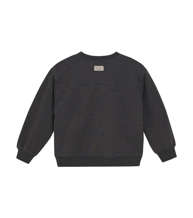 Daily7 truien & vesten 1320 Dark Grey Melange 920238