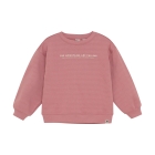 Daily7 truien & vesten 4011 Coral Clay 920239