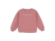 Daily7 truien & vesten 4011 Coral Clay 920239