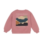 Daily7 truien & vesten 4011 Coral Clay 920239