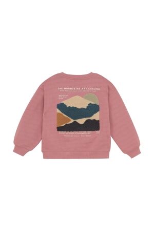 Daily7 truien & vesten 4011 Coral Clay 920239