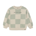 Daily7 truien 8406 Cool Mint 920241