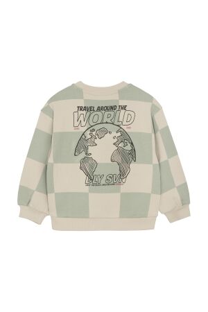 Daily7 truien & vesten 8406 Cool Mint 920241