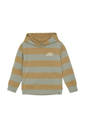 Daily7 Hoodie Stripe 3011 Light Chestnut