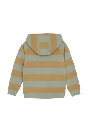 Daily7 truien & vesten 3011 Light Chestnut 920244