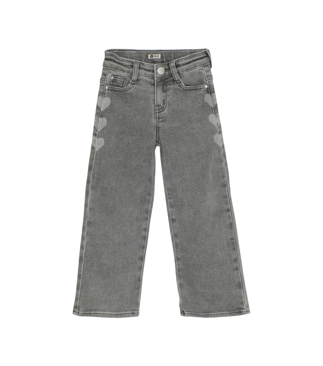 Daily7 broeken 1149 Used Grey Denim 930245