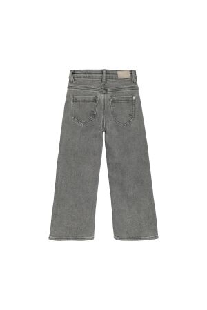 Daily7 broeken 1149 Used Grey Denim 930245
