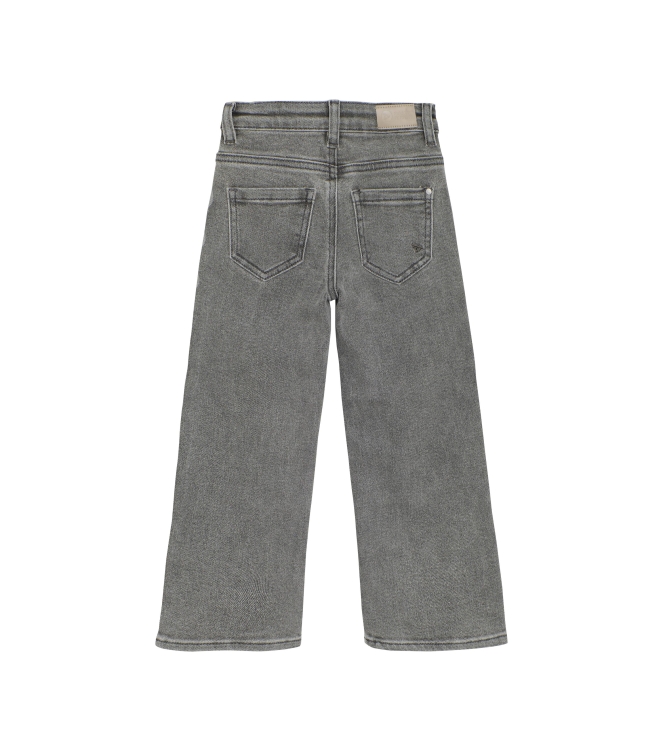 Daily7 broeken 1149 Used Grey Denim 930245