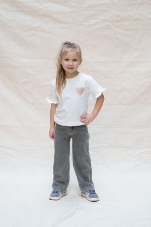 Daily7 broeken 1149 Used Grey Denim 930245