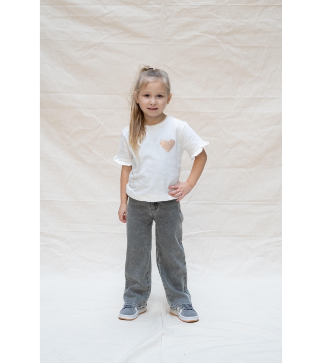Daily7 broeken 1149 Used Grey Denim 930245