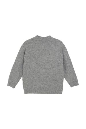 Daily7 truien & vesten 1220 Medium Grey Melange 930278