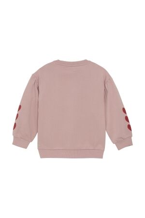 Daily7 truien & vesten 5013 Pale Mauve 930284