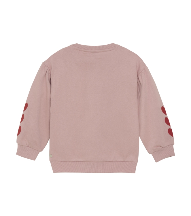Daily7 truien & vesten 5013 Pale Mauve 930284