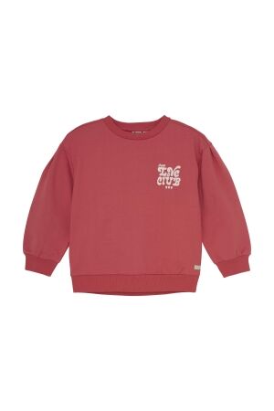 Daily7 Sweater Brushed Print 4430 Baked Apple