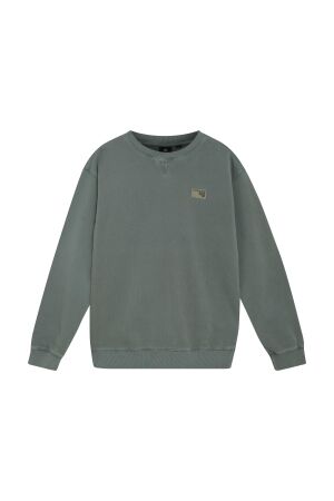 Indian Blue Jeans Sweater IBJ Washed 9651 Dark Forest