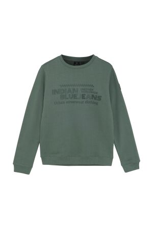 Indian Blue Jeans Sweater Chest print 9651 Dark Forest