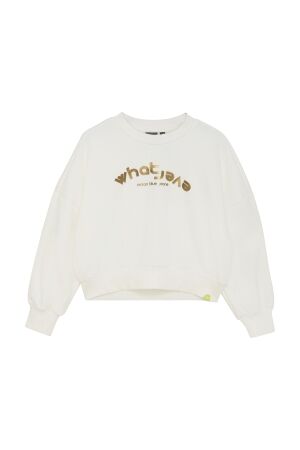 Indian Blue Jeans Sweater Foil 1103 Cloud