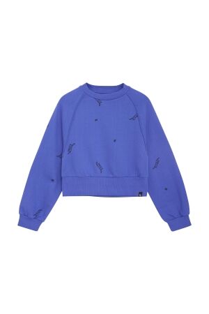 Indian Blue Jeans Sweater Raglan 7945 Amparo Blue