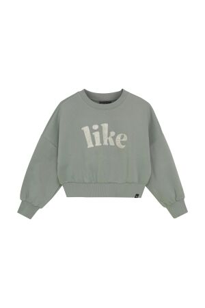 Indian Blue Jeans Sweater Satin 9409 Iceberg Green
