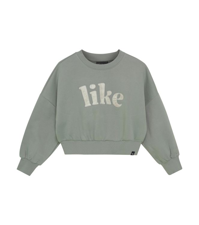 Indian Blue Jeans truien & vesten 9409 Iceberg Green 970464