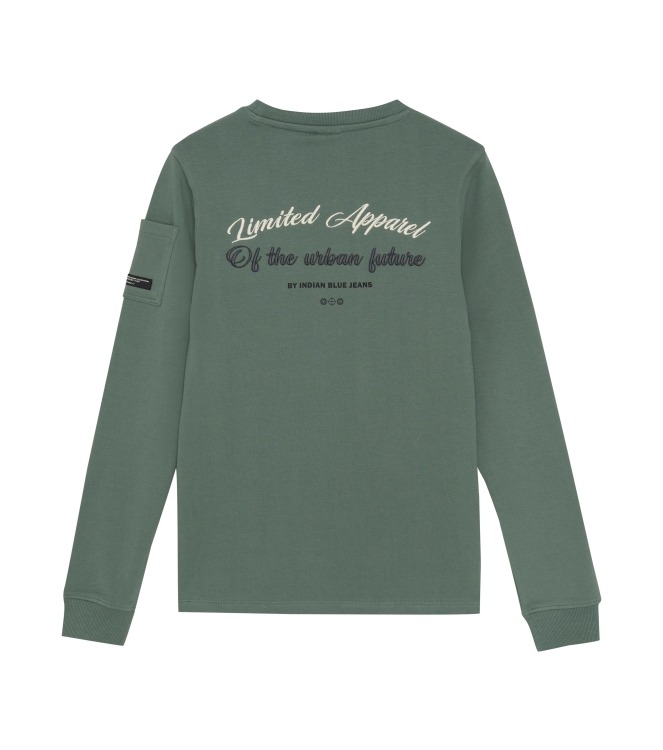 Indian Blue Jeans shirts 9651 Dark Forest 960422