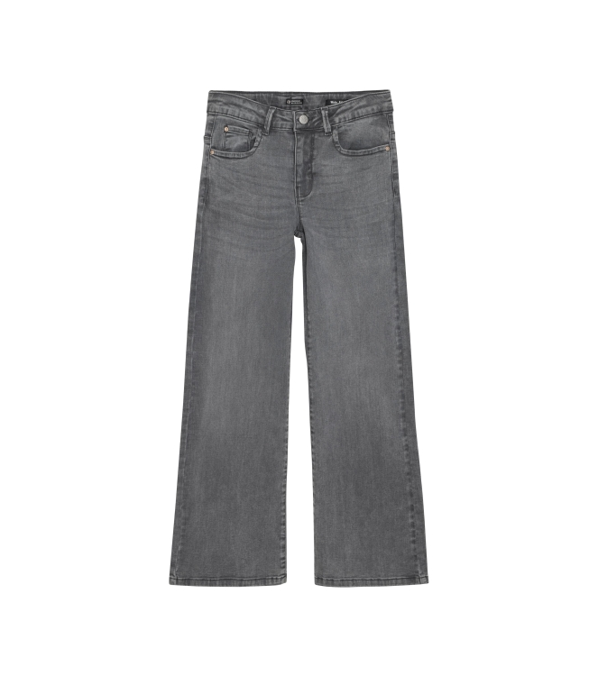 Indian Blue Jeans broeken 1170 Light Grey Denim 970401