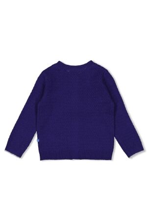 Jubel truien & vesten 070 Indigo 91300177