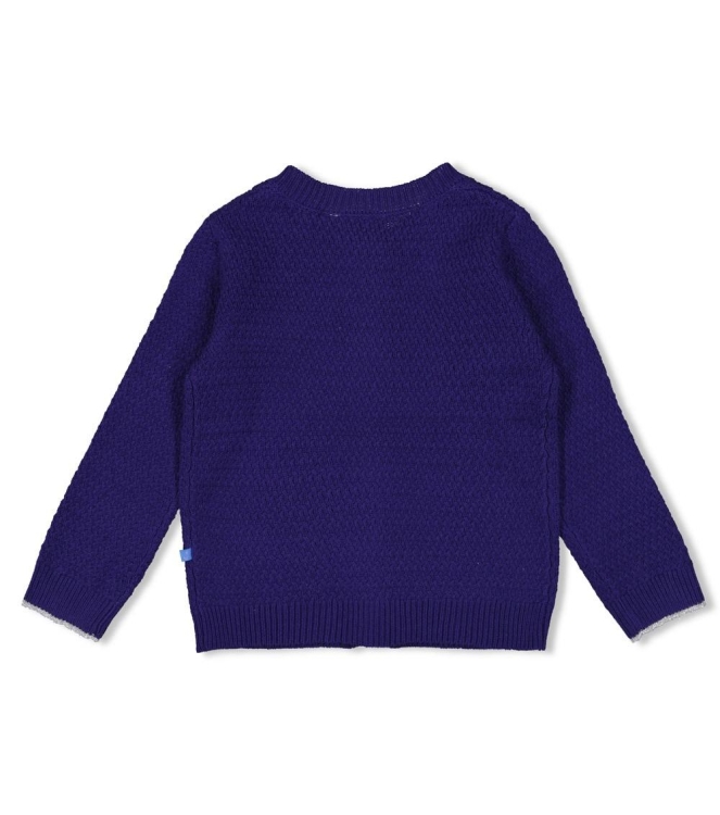 Jubel truien & vesten 070 Indigo 91300177