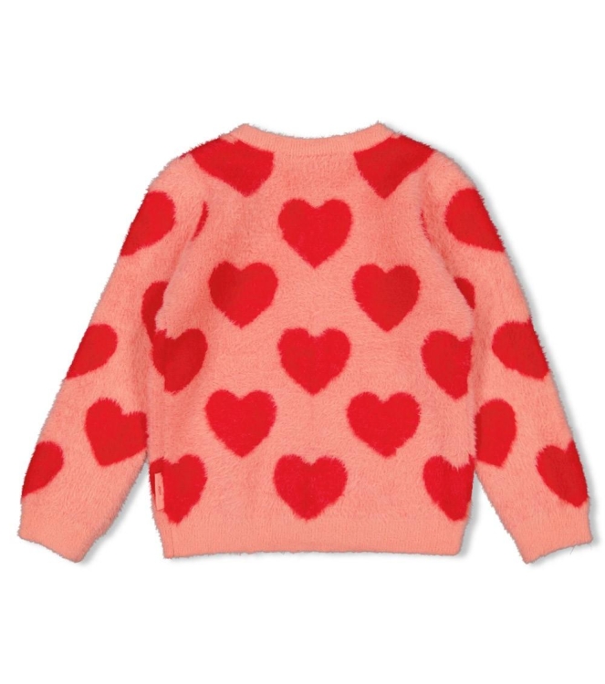 Jubel truien & vesten 155 l.Roze 91300181