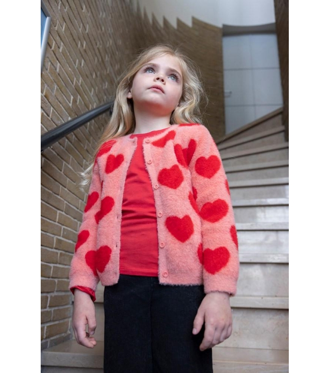 Jubel truien & vesten 155 l.Roze 91300181
