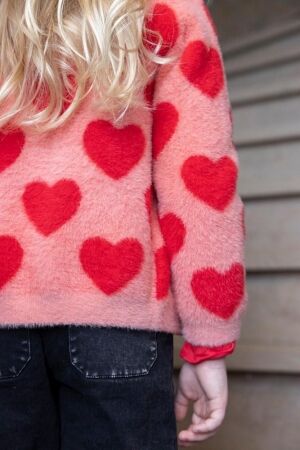 Jubel truien & vesten 155 l.Roze 91300181