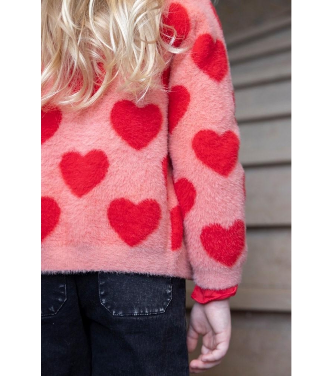 Jubel truien & vesten 155 l.Roze 91300181