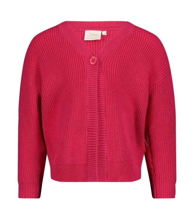 Jubel truien & vesten 150 Roze 91300183