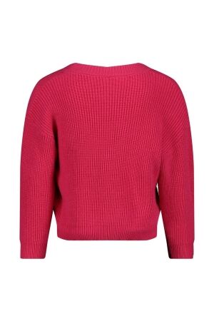 Jubel truien & vesten 150 Roze 91300183