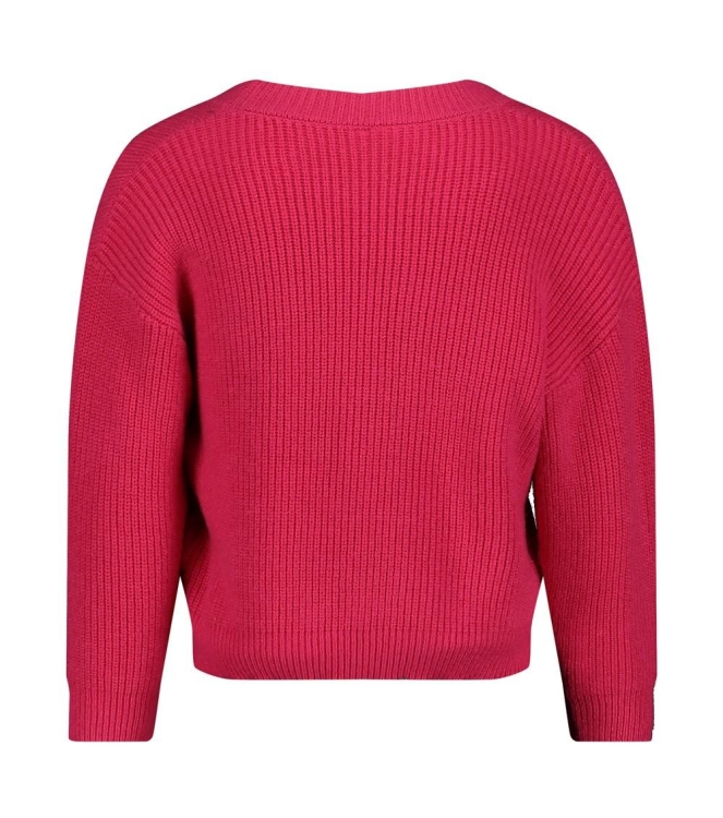 Jubel truien & vesten 150 Roze 91300183