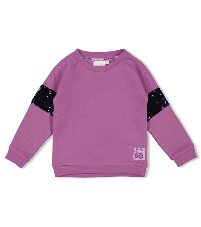 Jubel truien & vesten 256 Violet 91600429