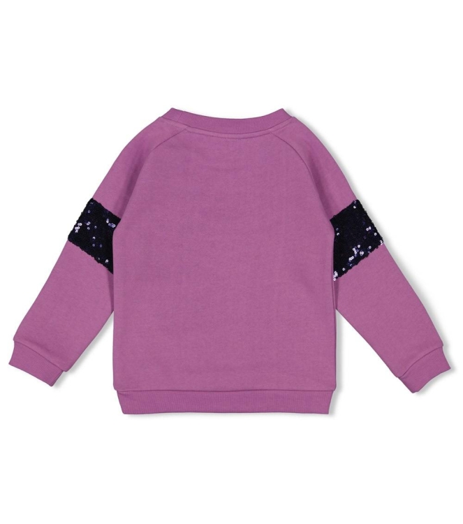 Jubel truien & vesten 256 Violet 91600429