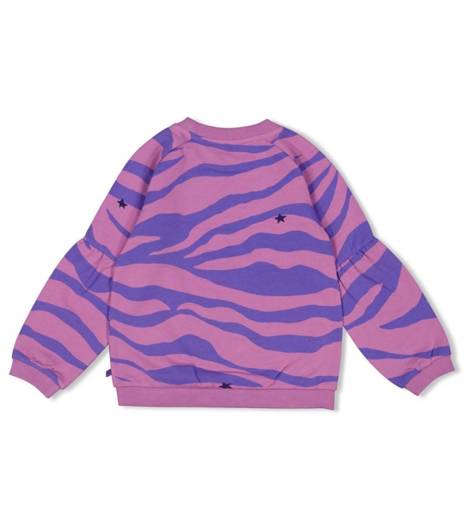 Jubel truien & vesten 256 Violet 91600430