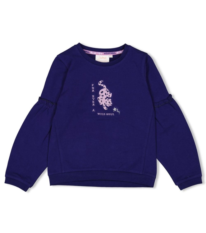 Jubel truien & vesten 070 Indigo 91600432
