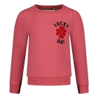 Jubel truien 150 Roze 91600442