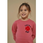 Jubel truien 150 Roze 91600442