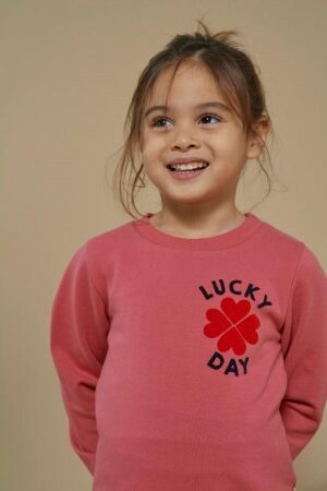 Jubel truien & vesten 150 Roze 91600442