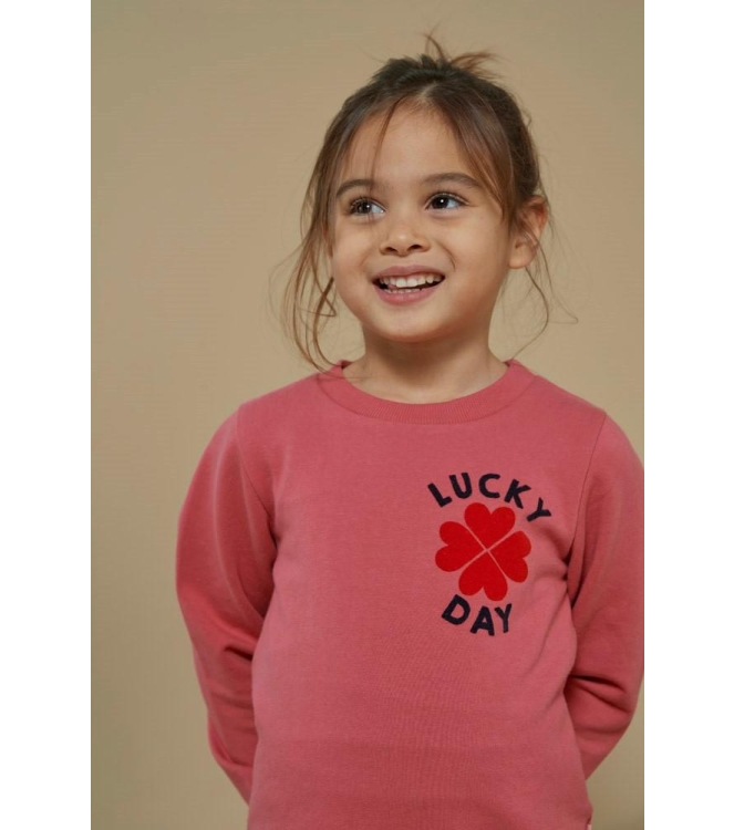 Jubel truien & vesten 150 Roze 91600442